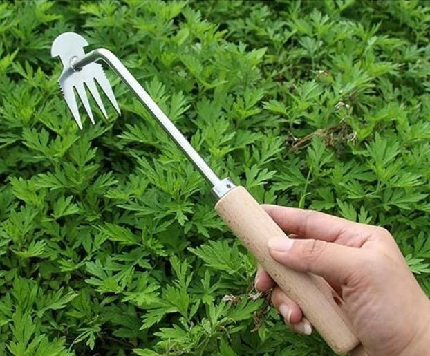 🌱 Multifunctional Stainless Steel Weeder Tool – Perfect for Smart Gardening! 🌿